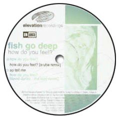 Fish Go Deep - How Do You Feel - Elevation Recordings