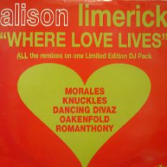 Alison Limerick - Where Love Lives (Rare DJ Only) - Arista