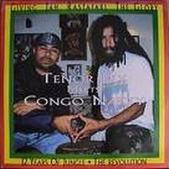 Congo Natty Meets Tenor Fly - 12 Years Of Jungle - The Revolution - Congo Natty