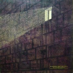 Mike Oldfield And Roger Chapman - Mike Oldfield And Roger Chapman - Shadow On The Wall (Extended Version) - Virgin
