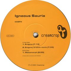 Igneous Sauria - Igneous Sauria - Enigma / Metamorph - Creamcrop Records