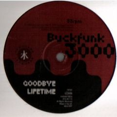 Buckfunk 3000 - Buckfunk 3000 - Modulation - Language 