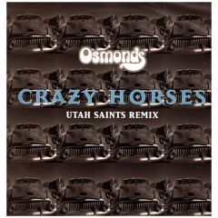 Utah Saints Vs The Osmonds - Utah Saints Vs The Osmonds - Crazy Horses (Remix) - Polydor