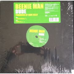 Beenie Man Ft Ms. Thing - Beenie Man Ft Ms. Thing - Dude - Virgin