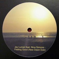 Jay Lumen Feat. Nina Simone - Jay Lumen Feat. Nina Simone - Feeling Good - Not On Label