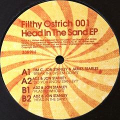 Various Artists - Various Artists - Head In The Sand EP - Filthy Ostrich 1