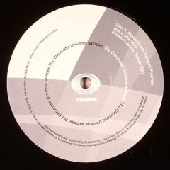 Various Artists - Various Artists - The Chromatic Universe Sampler - Visions