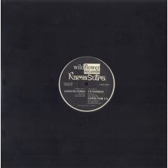 Kamasutra - Kamasutra - Kamasutra Express - Wildflower Records