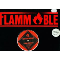 Nat Monday - Nat Monday - Nucleus - Flammable Records