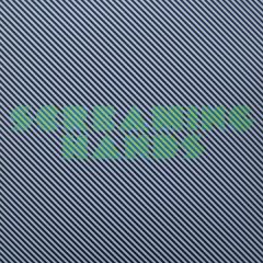 Radio Slave - Radio Slave - Screaming Hands (Remixes) - Rekids