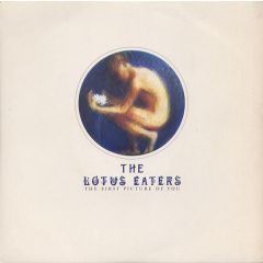 The Lotus Eaters - The Lotus Eaters - The First Picture Of You - Sylvan Records