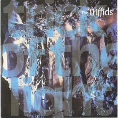 The Triffids - The Triffids - A Trick Of The Light - Island