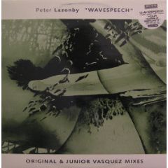 Peter Lazonby - Peter Lazonby - Wavespeech - Brainiak