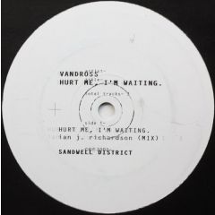 Vandross - Vandross - Hurt Me, I'm Waiting - Sandwell District