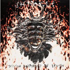 Shpongle - Shpongle - Divine Moments Of Truth - Twisted Records