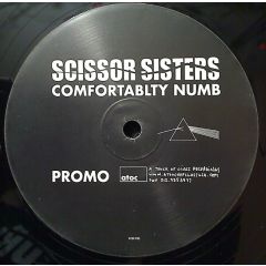 Scissor Sisters - Scissor Sisters - Comfortably Numb - A Touch Of Class