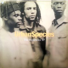 Urban Species - Urban Species - The Experience EP - Talkin' Loud