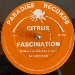 Citrus - Citrus - Fascination / Frantic - Paradise Records