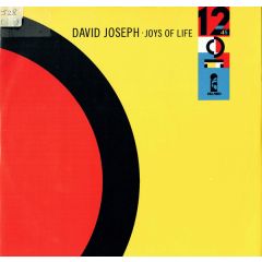 David Joseph - David Joseph - Joys Of Life - Island Records