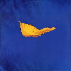 New Order - New Order - True Faith - Qwest