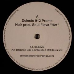 Noir Pres. Soul Flava - Noir Pres. Soul Flava - HOT - Delecto Recordings