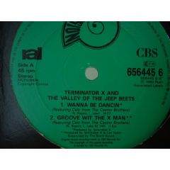 Terminator X - Terminator X - Wanna Be Dancin - CBS