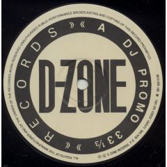 N-R-Gee Posse - N-R-Gee Posse - N-R-Gee / The Final Word - D-Zone Records
