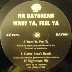 Mr Daydream - Mr Daydream - Want Ya, Feel Ya - Day001