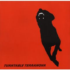 Turntable Terranova - Turntable Terranova - Penetrate / Precipice (Remix) - Compost