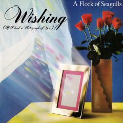 A Flock Of Seagulls - A Flock Of Seagulls - Wishing (If I Had A Photograph Of You) - Jive