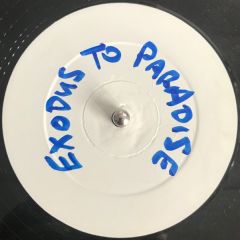 Exodus To Paradise - Exodus To Paradise - Rock It (Remix) - Pumpin Vinyl