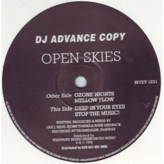 Open Skies - Open Skies - Ozone Nights - Reinforced