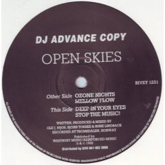 Open Skies - Open Skies - Ozone Nights - Reinforced