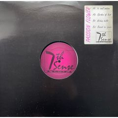 Passion Flower - Passion Flower - In Soul Motion - Seventh Sense Records