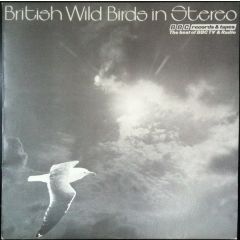 Unknown Artist - British Wild Birds In Stereo - Bbc Records