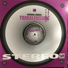 Tribalfusion - Tribalfusion - Buddhas Groove - Purple Music