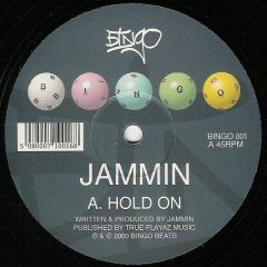 Jammin (Aka DJ Zinc) - Jammin (Aka DJ Zinc) - Hold On - Bingo 1