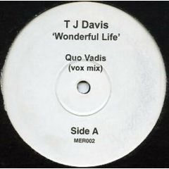 Tj Davis - Tj Davis - Wonderful Life - White