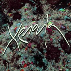 Xenoula - Xenoula - Xenoula - Weird World