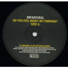 Mr Natural - Mr Natural - Do You Feel What I'm Thinking - Critical Mass
