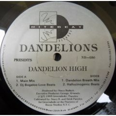 Dandelions - Dandelions - Dandelion High - Nitebeat