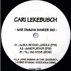 Cari Lekebusch - Cari Lekebusch - Nar Dimman Sanker Sig - Proper N.Y.C.