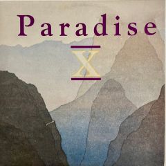 Paradise 10 - Paradise 10 - 2 Much (Out Of This World Mix) - Mr Modo