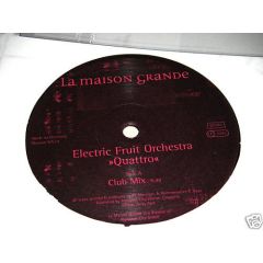 Electric Fruit Orchestra - Electric Fruit Orchestra - Rock Da Beat - La Maison Grande