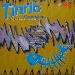Disco Outlaws - Disco Outlaws - Big Boy - Tinrib