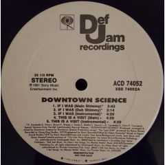 Downtown Science - Downtown Science - If I Was - Def Jam