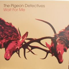 The Pigeon Detectives - The Pigeon Detectives - Wait For Me - Dance To The Radio