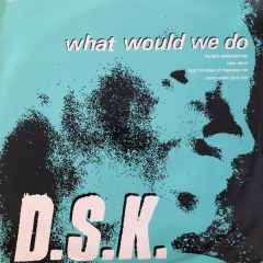 DSK - DSK - What Would We Do - Boy's Own Productions