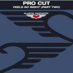 Pro Cut - Pro Cut - Feel So Right (Remixes) - Plastic Fantastic 