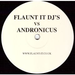 Andronicus Vs Flauntit DJ's - Andronicus Vs Flauntit DJ's - Make You Whole (2003) - Andron 1